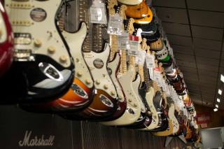 Types de basses électriques : tour d'horizon des formats disponibles