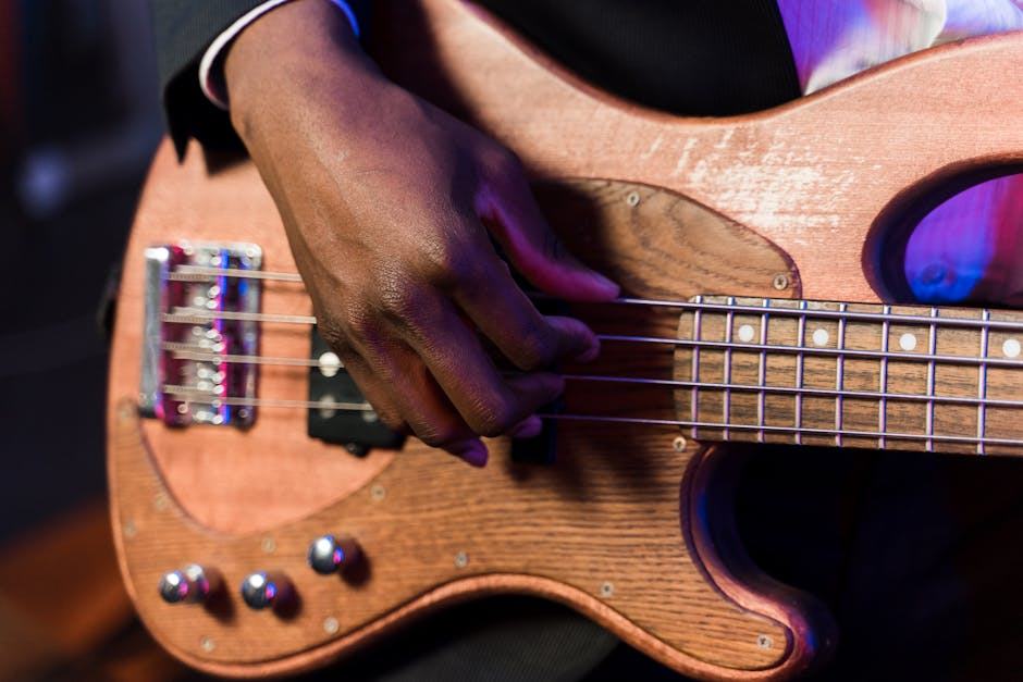 Cordes de basse : tout savoir pour bien choisir et entretenir