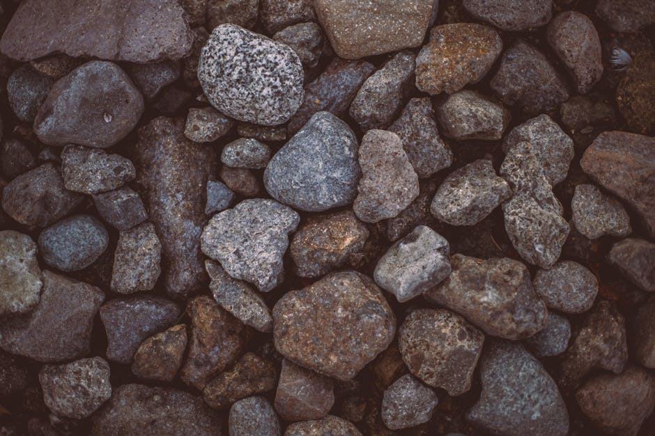 Tester basse : basse électrique