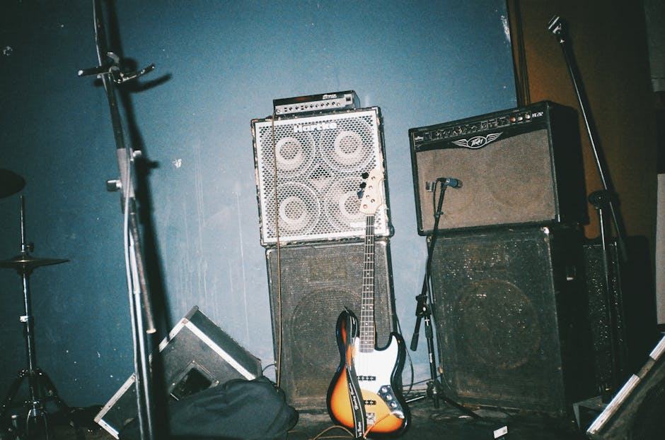 Basse fretless : son, technique et modeles recommandes